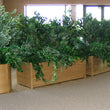 Load image into Gallery viewer, PLANTER BOXES