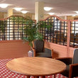 Load image into Gallery viewer, Trellis Screens - Screens Plus