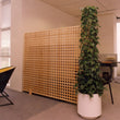 Load image into Gallery viewer, Trellis Screens