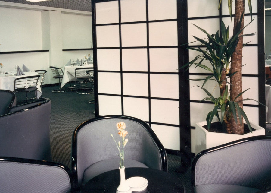 Translucent Timber Translucent Timber Screens – Screen Plus